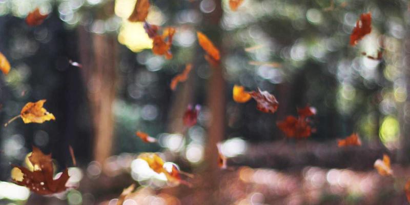 PAIMP30：引领未来的智能网络营销与电商解决方案