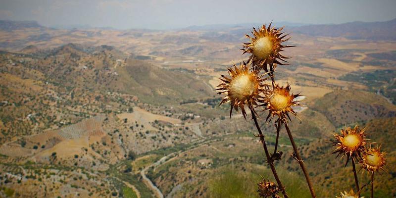 PAIMP3：新一代电商解决方案如何重塑电子商务生态