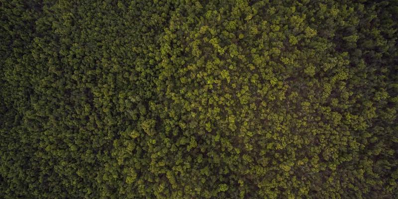 PAIMP52：重新定义电商未来的智能解决方案