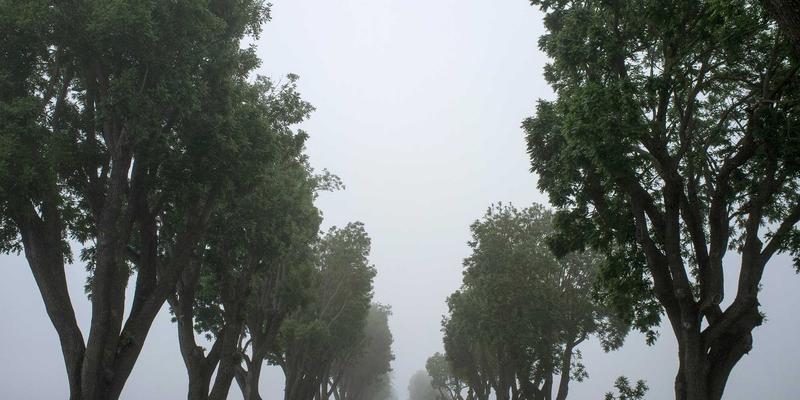 PAIMP64：赋能电子商务与网络营销的全新利器