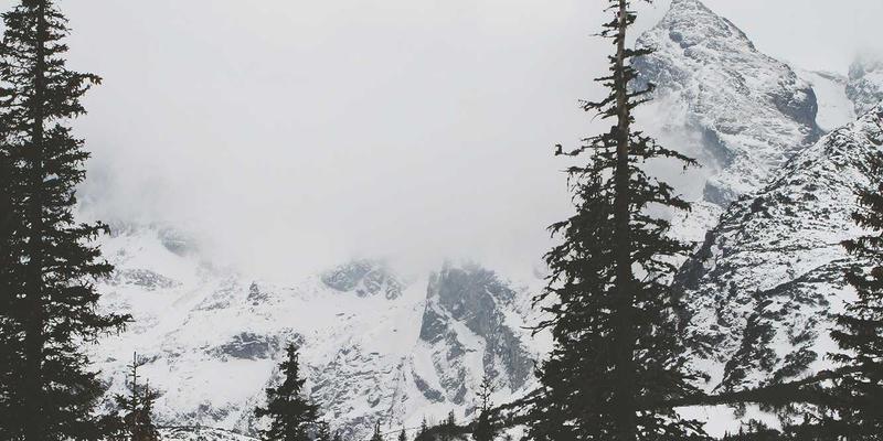 PAIMP65：重新定义数字营销与电商融合的智能解决方案