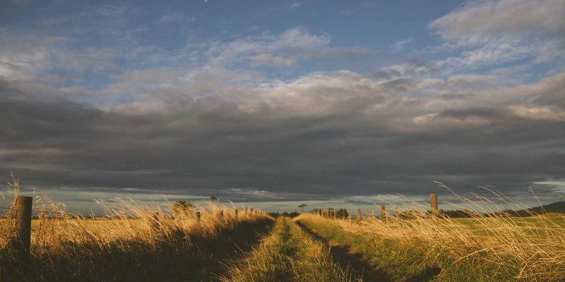 PAIMP入门指南:科技公司如何选择与部署电商解决方案