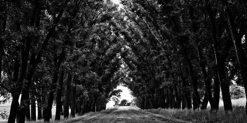 PAIMP如何优化公用事业资产巡检与维护策略：网络营销与电商解决方案的新视角