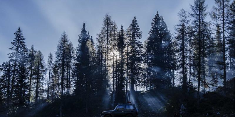 PAIMP如何赋能全球化网络营销：多语言、多货币在线业务管理指南