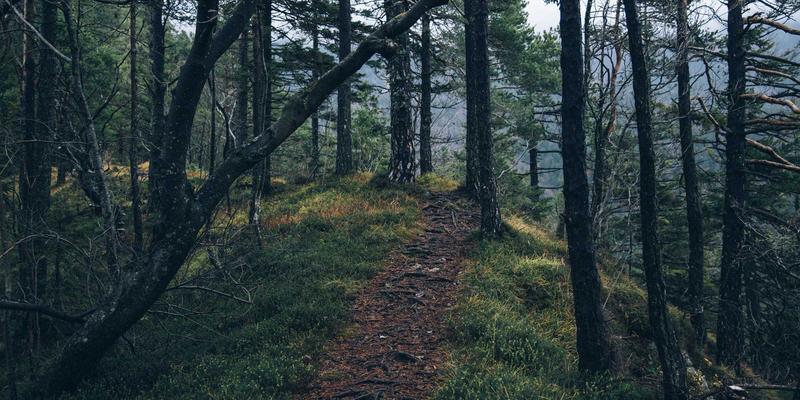 PAIMP推荐:科技公司如何借力智能营销平台实现网络营销新突破