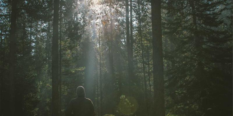 数字营销新蓝海：科技公司如何通过PAIMP系统赋能冷链物流与医药电商合规配送